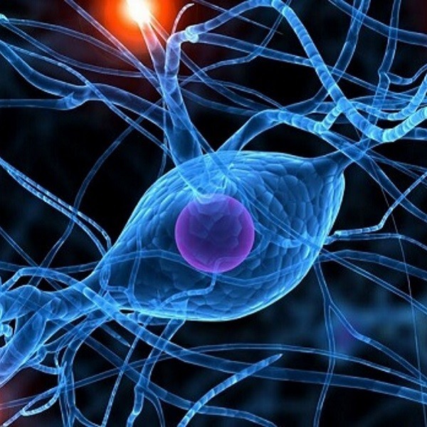 Microscopic image of synapses