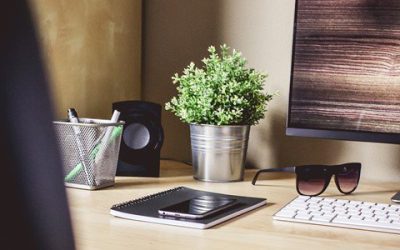Top 10 tips on your job search campaign – No.5
