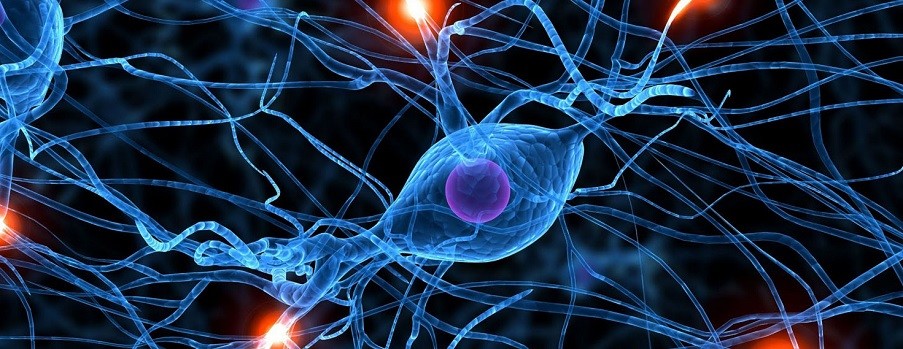 How Myers Briggs can improve the probability success